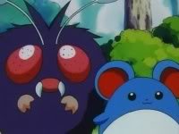 ◓ Anime Pokémon  Aventuras nas Ilhas Laranjas T2EP8: Tudo Rosa! (Assistir  Online PT/BR) 📺