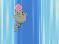 spoink