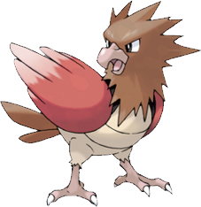 spearow